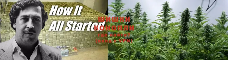 Бошки Шишки SATIVA & INDICA  продажа наркотиков  Долинск 